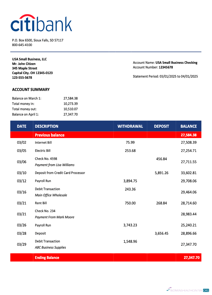 Download USA Citibank organization statement Word and PDF template Photoshop template